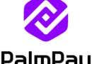 PalmPay Celebrates Users in Purple December Campaign