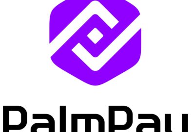PalmPay Celebrates Users in Purple December Campaign