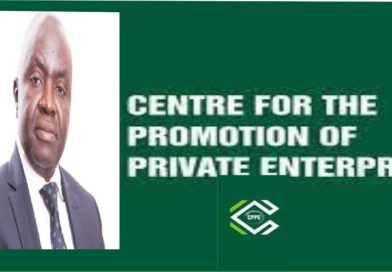 Nigerian economy in Q2 GDP moving towards stronger recovery – CPPE