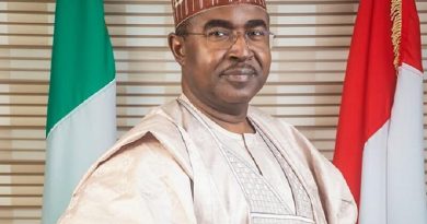 Tinubu extends Marwa’s appointment as NDLEA chairman to 2031