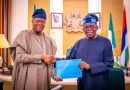 Tinubu sets up implementation committee for new tax laws
