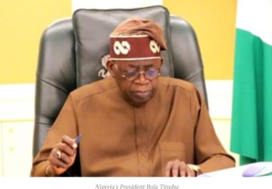 Taxing, Borrowing the Future Without Building: What Has Nigeria’s Fiscal Authority Done for the Real Sector?