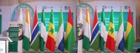 ECOWAS heads of government summit begins in Abuja