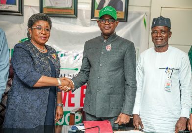 FG’s Digital Reform Gets a Boost As Ministry Goes Live on 1-Gov Cloud