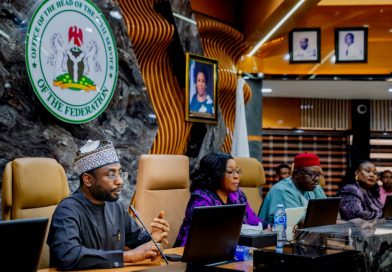 ‘Digital Literacy: A Catalyst for Strengthening Public Service Capacity’